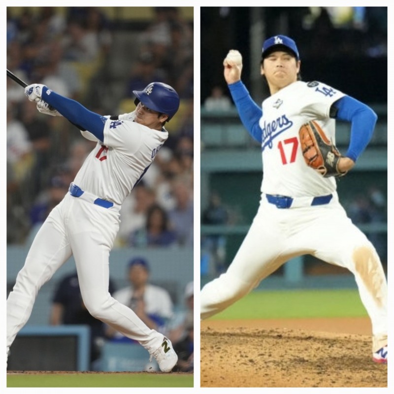 '이도류' 오타니 쇼헤이