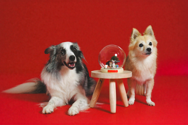 트러스티푸드는 펫 인플루언서 ‘달루카 밥상’을 브랜드의 첫 공식 엠버서더로 위촉했다.