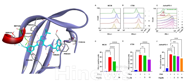 (Photo provided by K-MEDI hub)