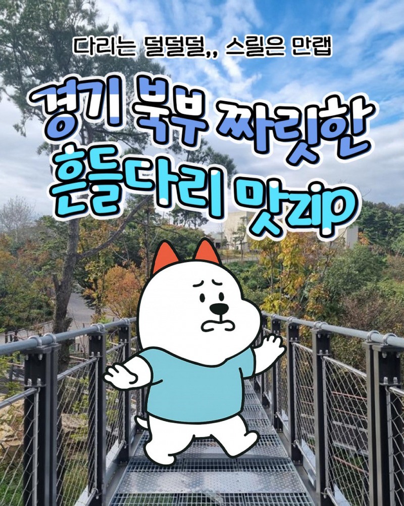 경기관광공사 DMZ 인스타그램, 대표캐릭터 누리 콘텐츠