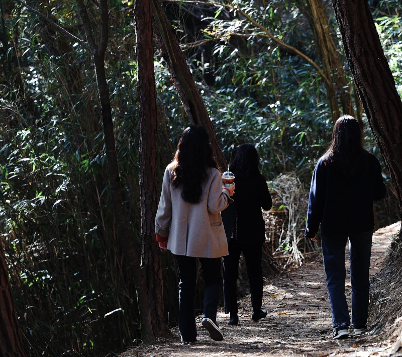 기산봉 힐링 숲길 (사진제공=함평군)