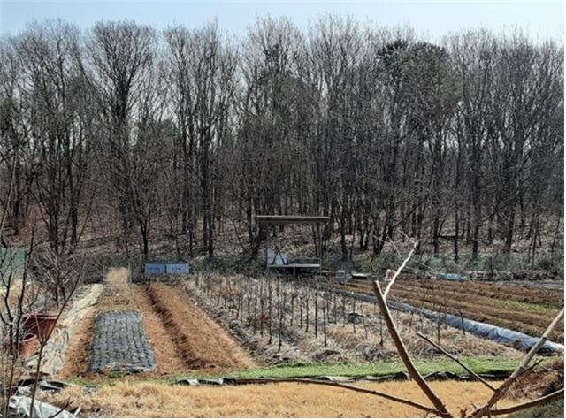 불법 절성토 행위 절발 대상지