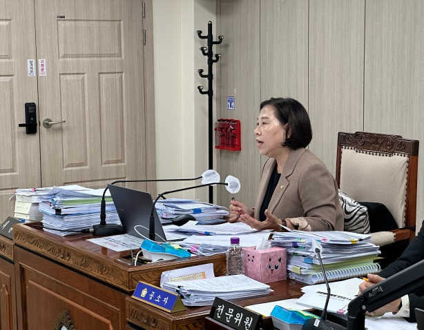 공소자 고양특례시의원