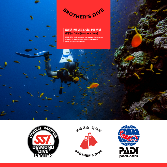 브라더스다이브, SSI 교육에 이어 PADI 교육 다이빙 프로그램 공식 론칭