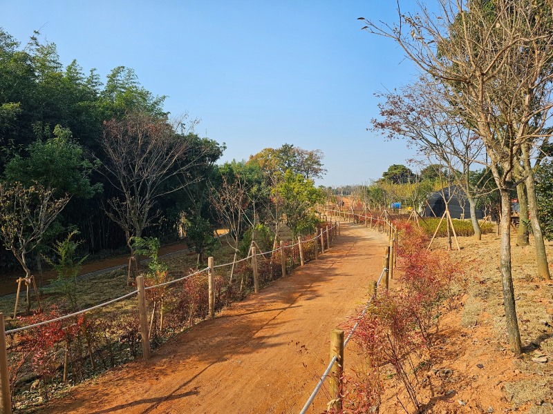 2025년 주민단체참여숲 조성사업으로 조성된 황톳길 (사진제공=나주시)