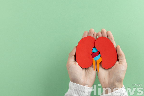 겉으로 건강해 보여도 조용히 진행되는 유전성 신장 질환 다낭신은 조기 검진과 꾸준한 관리가 중요하다. (사진 제공=클립아트코리아)