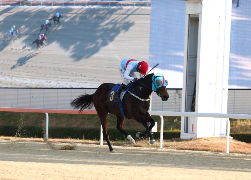 브리더스컵 퀸 우승마 에이스하이와 최시대 기수