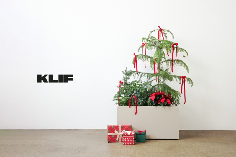 클리프(KLIF), ‘하와이안 크리스마스’ 가든 출시