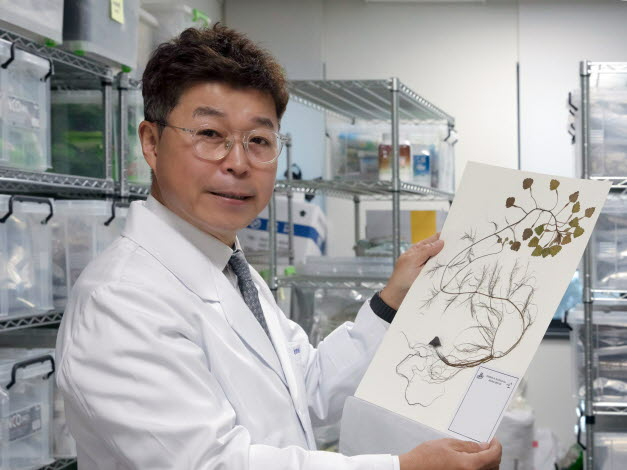 경희대학교 한의과대학 김호철 교수. (사진제공=경희대)