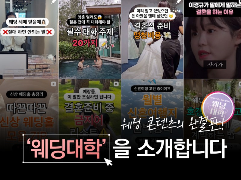 인스타그램 기반 웨딩 큐레이션 서비스 ‘웨딩대학’이 말하는 웨딩 정보