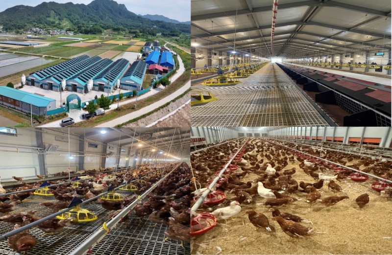 프레시파머, 국내 최대 유기농 농업법인 강변축산과 손잡고 ‘기능성 유기농 계란’ 라인 대규모 확대