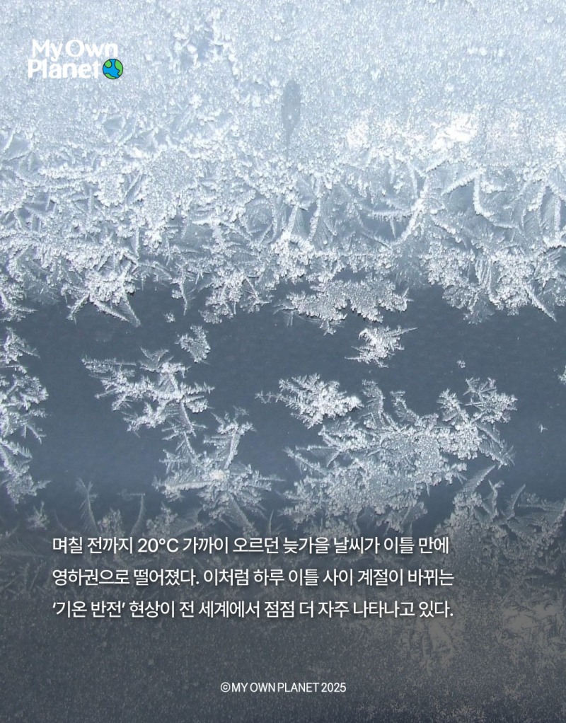 마이 오운 플래닛(My Own Planet) 기후 행동 실천 캠페인 16 “어제는 봄, 오늘은 겨울로 이어진 아찔한 날씨 롤러코스터”