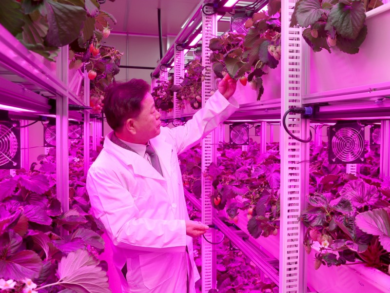 어린이·취약계층 대상 딸기 체험 프로그램 무료 운영