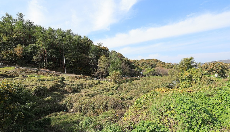 서울 서초구 원지동 개발제한구역 모습./연합뉴스