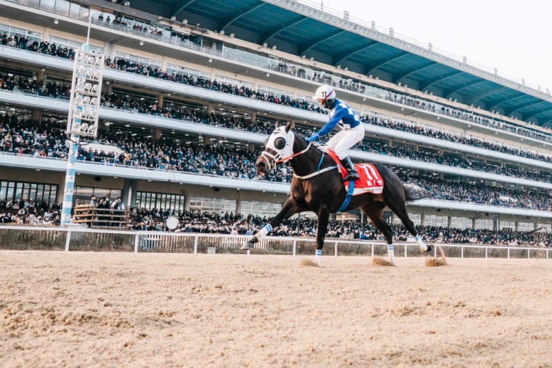 결승선 통과하는 클린원과 다실바 기수_그랑프리