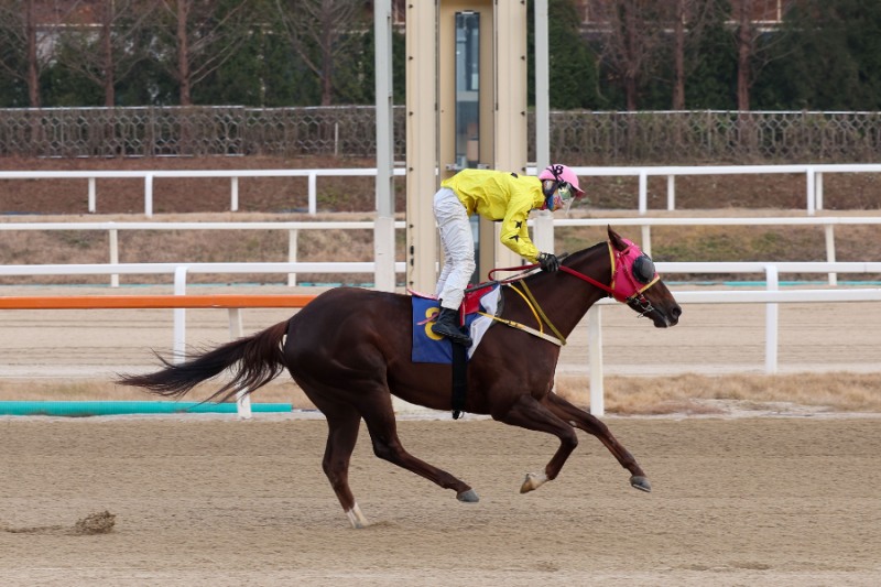 결승선 통과하는 매직포션과 장추열 기수_KRA스프린트@서울