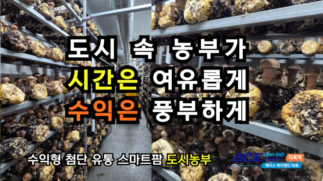 지축역 에이스 하이엔드타워 스마트팜 ‘도시농부’, 참송이버섯 재배 본격화