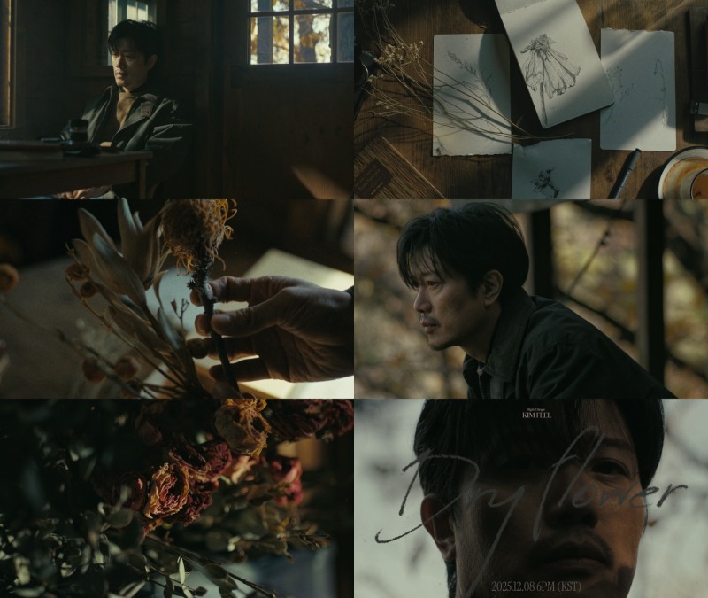 김필, 오늘(8일) 신곡 'Dry Flower' 발매…담담하게 건네는 감정의 기록