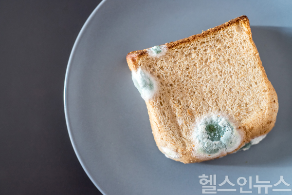 곰팡이는 솜털처럼 보이지만, 작은 포자가 공기 중으로 퍼질 준비를 하는 과정이므로 음식에서 발견되면 과감히 버리는 것이 안전하다. (이미지 제공=클립아트코리아)