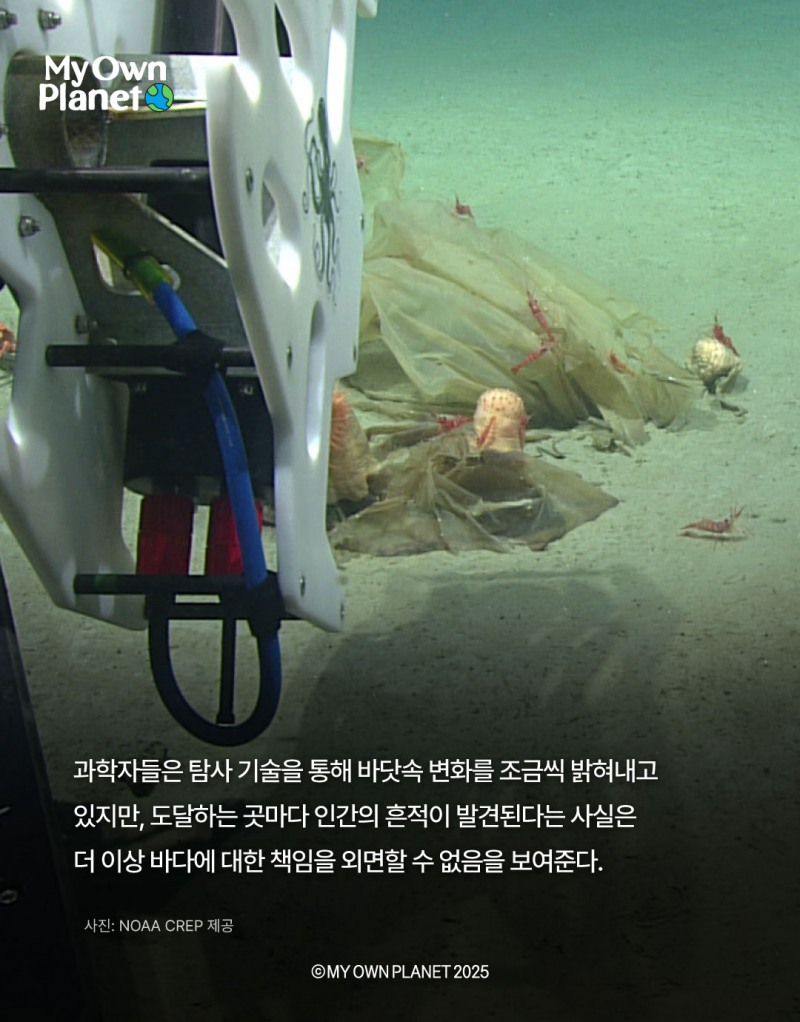 마이 오운 플래닛(My Own Planet) 기후행동 실천 캠페인 17 “심해에 버려진 플라스틱 의자”