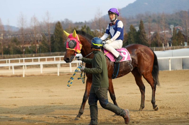 MBN배 우승마 태양의전사와 이동하 기수