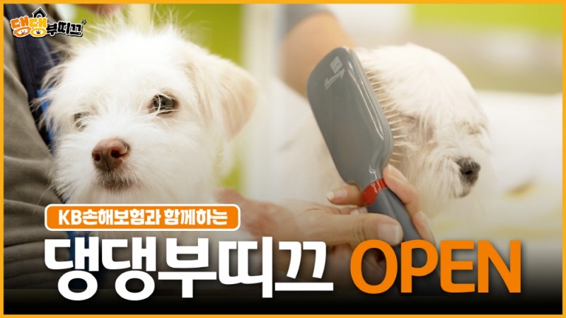 KB손해보험이 건강하고 성숙한 반려문화 확산을 위해 제작한 신규 영상 콘텐츠 ‘댕댕부티크’를 KB손해보험 공식 유튜브 채널을 통해 16일 공개했다./KB손해보험
