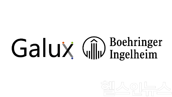 갤럭스 CI (사진 제공=갤럭스)