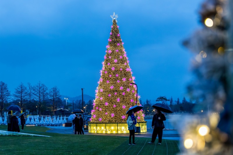 순천만국가정원 호수정원 대형트리 (사진제공=순천시)