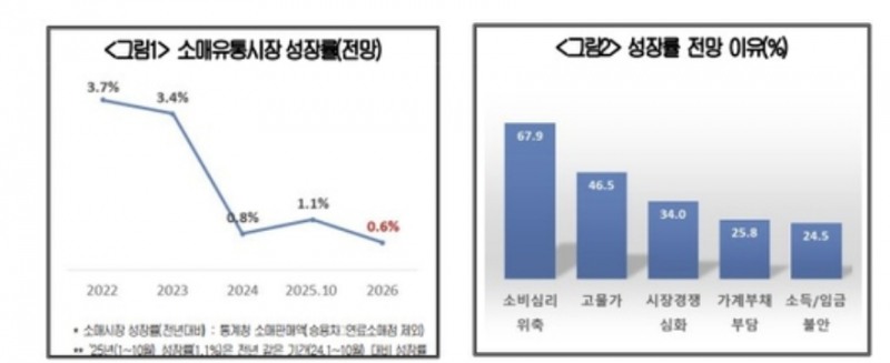 내년 편의점 시장은 0.1% 성장에 그치고 대형마트는 마이너스 성장을 기록할 것으로 예상된다. 자료=대한상의