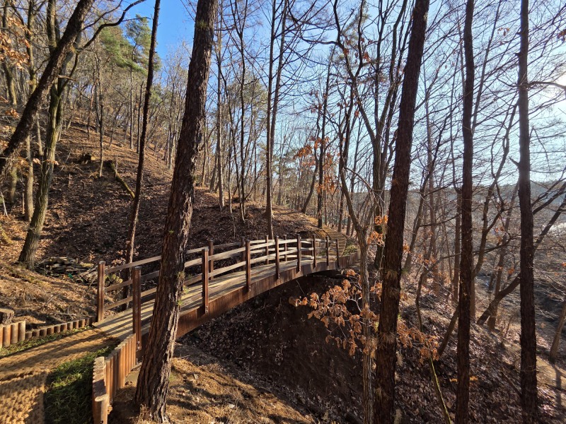 숲 훼손 줄이고 걷는 맛 살린 친환경 검단산 둘레길 개통