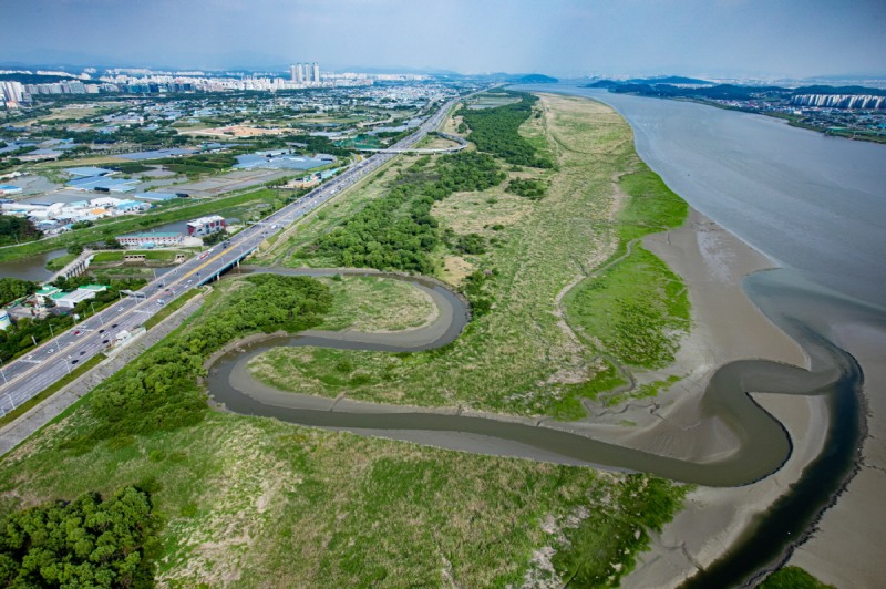 람사르 고양장항습지 전경 (고양특례시 제공)