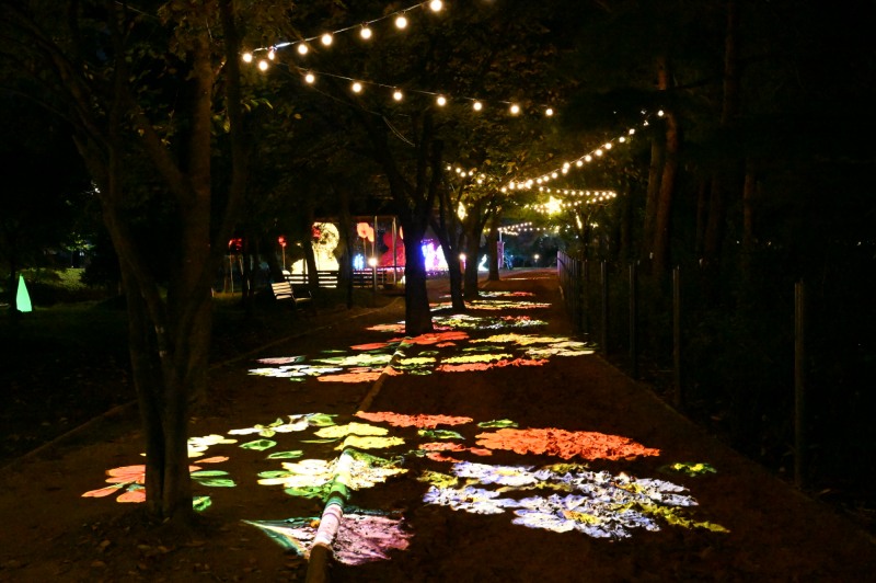 장자호수공원 일대에서 진행 중인 ‘2025 구리 빛 축제 (구리시 제공)