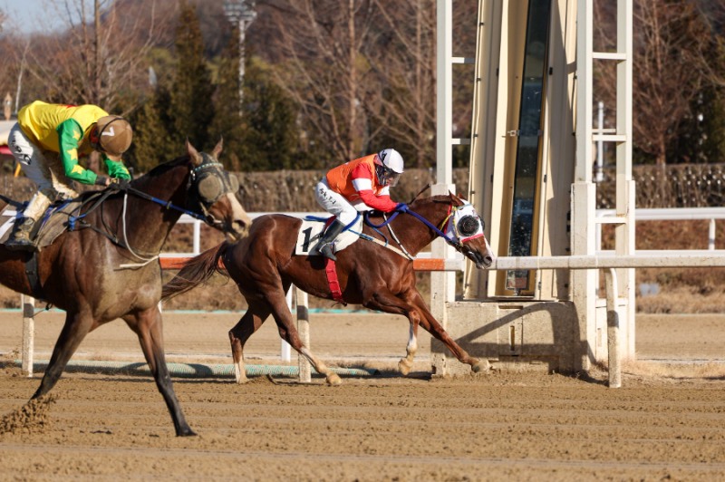 박태종 기수 결승선 통과 모습(1번마)