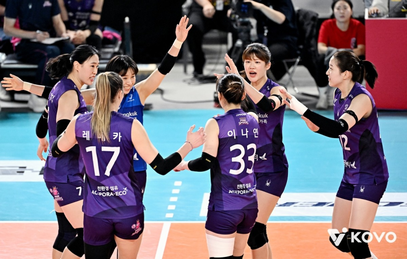 흥국생명, 정관장 3-0 완파하고 2연패 끊어…레베카 19득점+김다은 17득점 맹활약