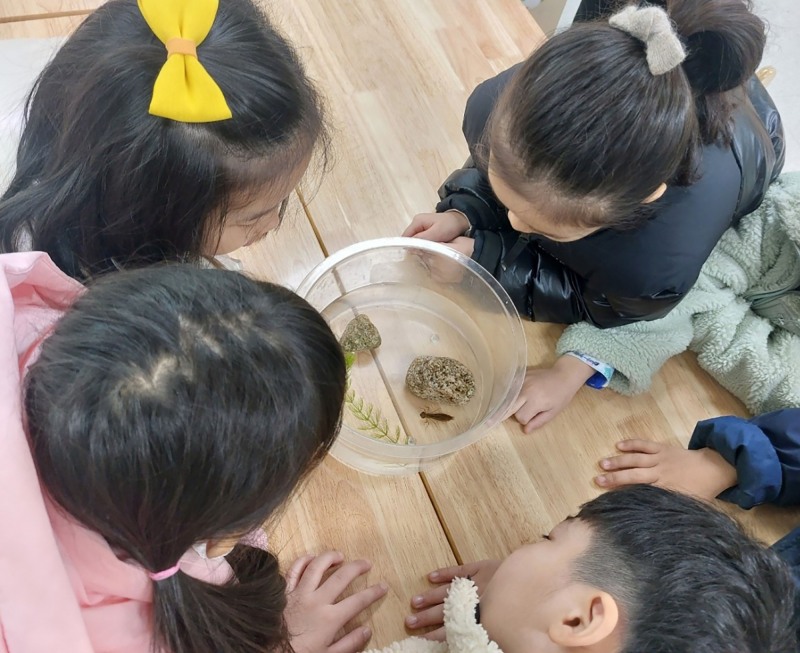 성남시의 유아 대상 꿈틀이 환경교실