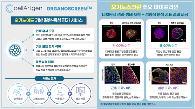 세라트젠, 오가노이드 기반 비임상 서비스 ‘오가노스크린’ 확대