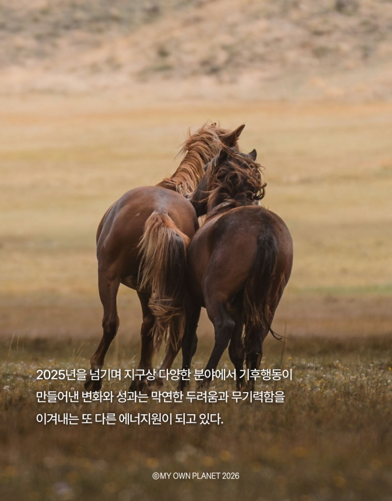 마이 오운 플래닛(My Own Planet) 기후행동 실천 캠페인 20 “기후행동이 만든 변화와 성과”
