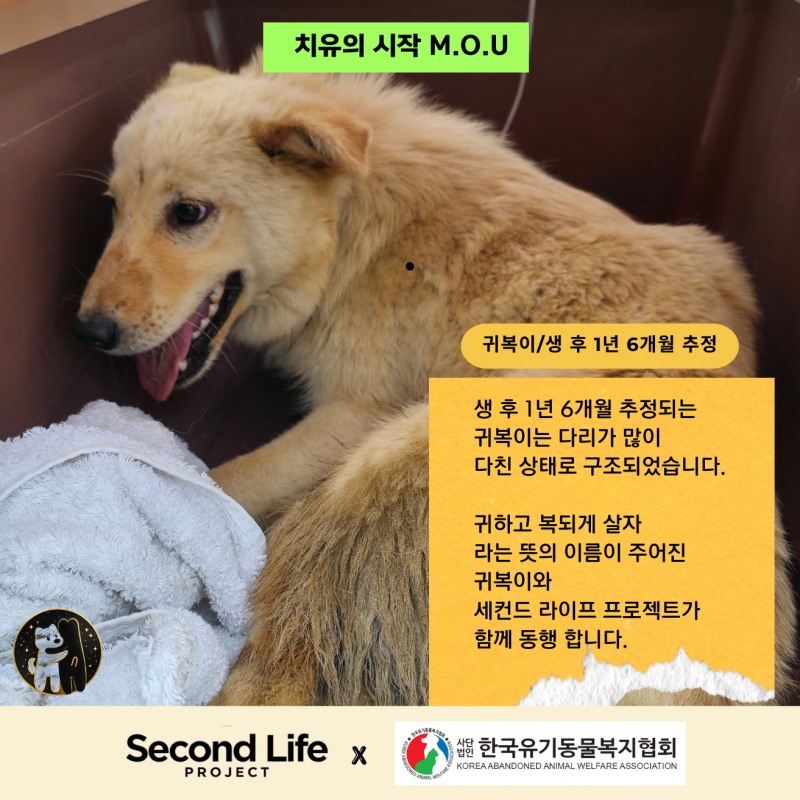 세컨드 라이프 프로젝트, (사)한국유기동물복지협회와 유기동물 보호 위한 업무협약 체결