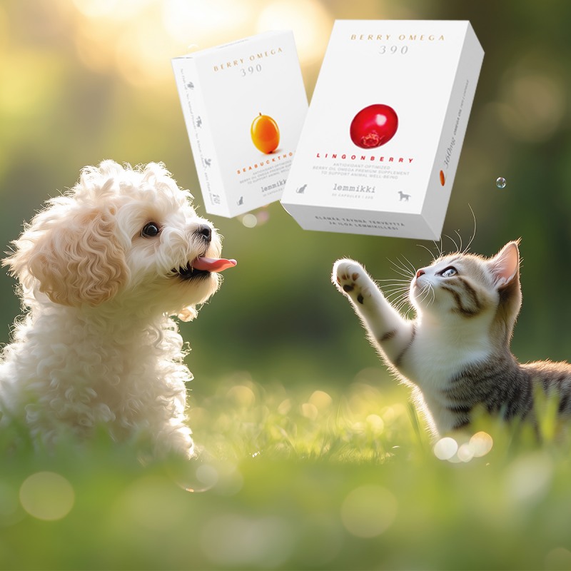 비린내 줄인 식물성 오메가, 반려동물 영양 관리에 새 흐름