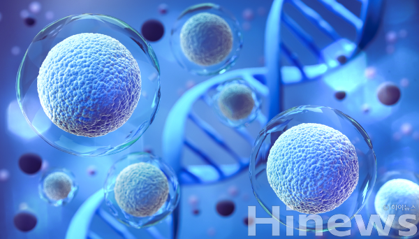 DNA 3차 구조가 면역 유전자 작동과 약물 반응을 조절한다는 사실이 밝혀져 정밀의학 연구에 기초 자료로 활용 가능하다. (사진 제공=클립아트코리아)