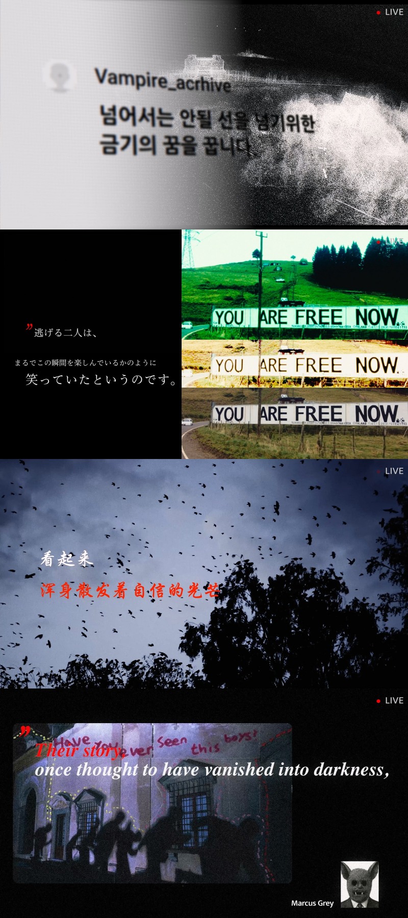 엔하이픈, 미니 7집 내레이션 프리뷰 공개…박정민·개코·황소윤 등 ‘대세’ 총출동