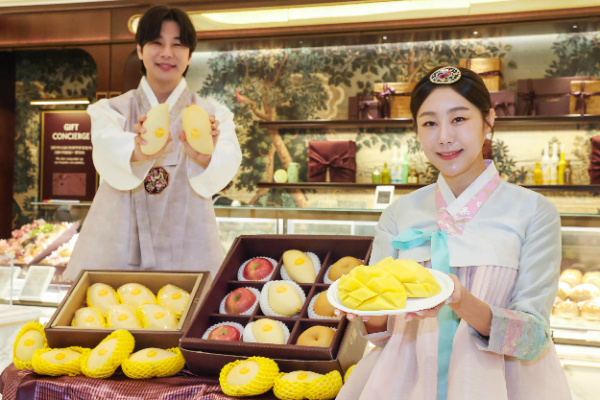 신세계백화점 망고 선물세트