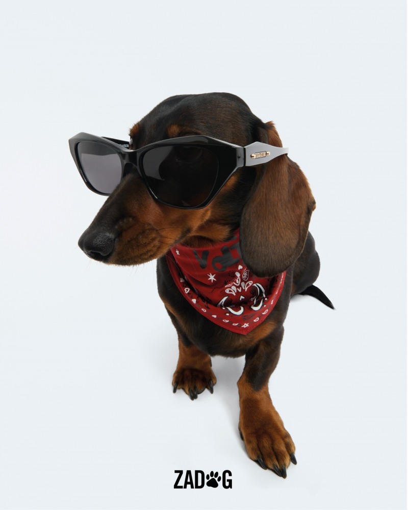 쟈딕앤볼테르 반려견용 컬렉션 ‘쟈독(ZADOG)’ 공식 출시