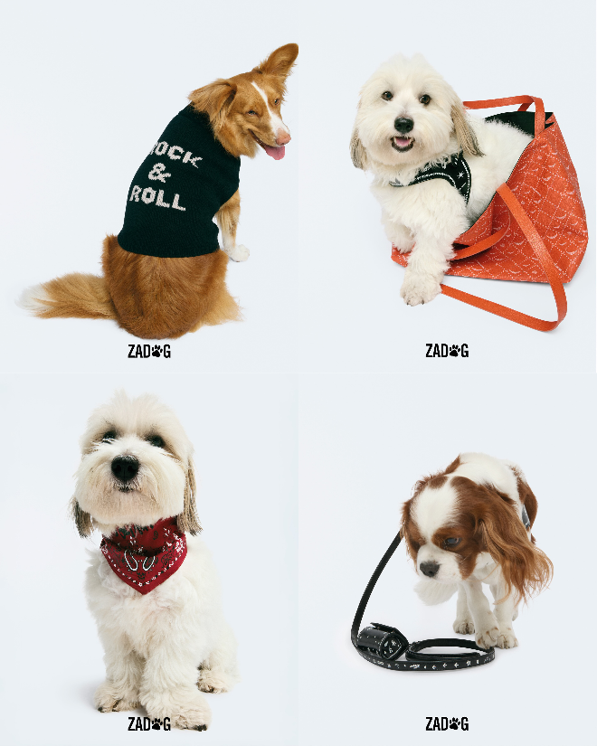 쟈딕앤볼테르 반려견용 컬렉션 ‘쟈독(ZADOG)’ 공식 출시