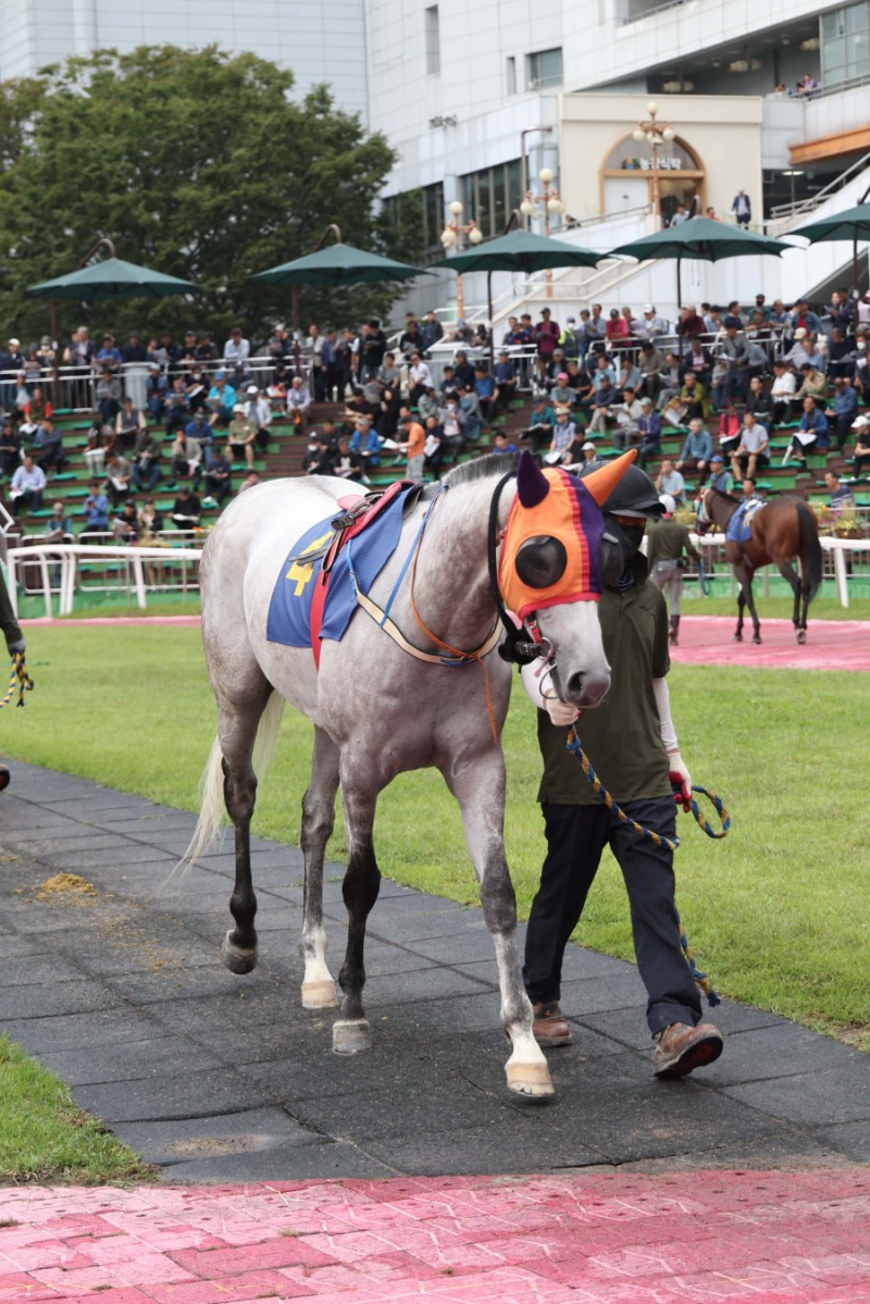 내로라하는 강자 총출동… 렛츠런파크 서울 1,400m 1등급 경주 개최