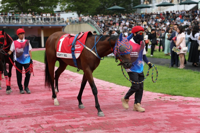 내로라하는 강자 총출동… 렛츠런파크 서울 1,400m 1등급 경주 개최