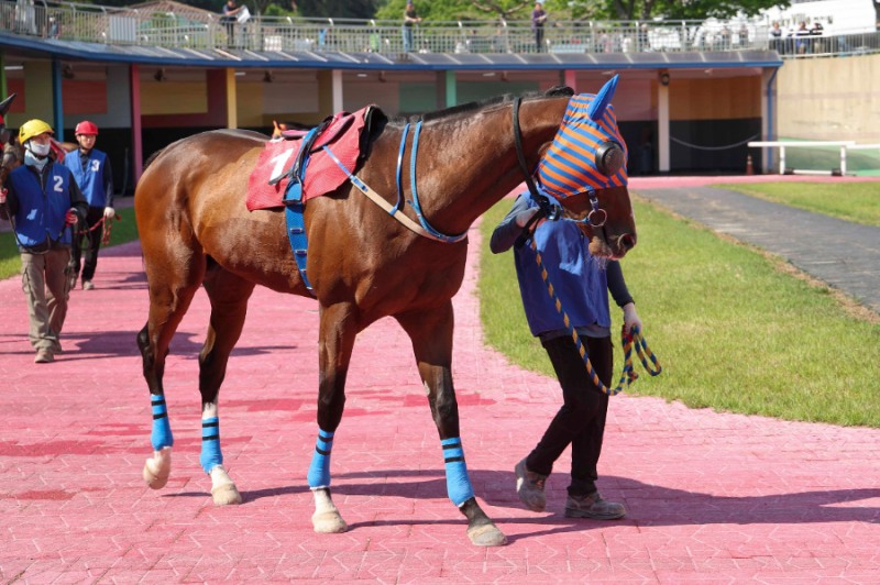 내로라하는 강자 총출동… 렛츠런파크 서울 1,400m 1등급 경주 개최