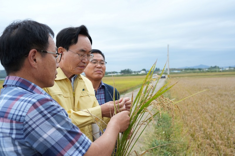 윤병태 시장(가운데)이 벼 깨씨무늬병 상태를 살피고 있는 모습. (사진제공=나주시)