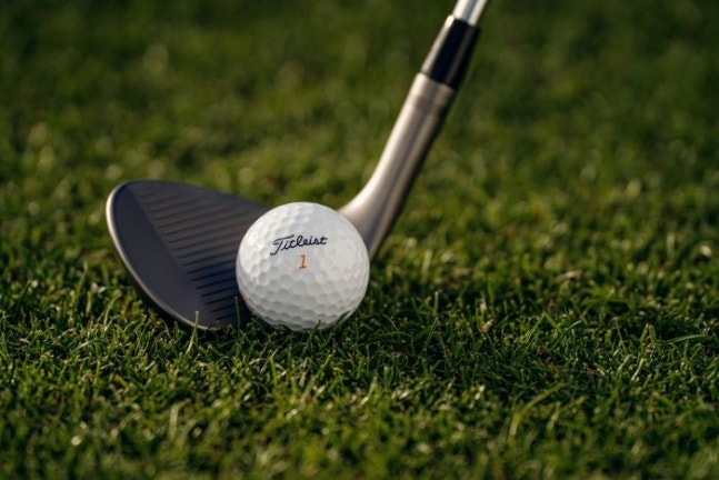 벨로시티 골프볼. /타이틀리스트