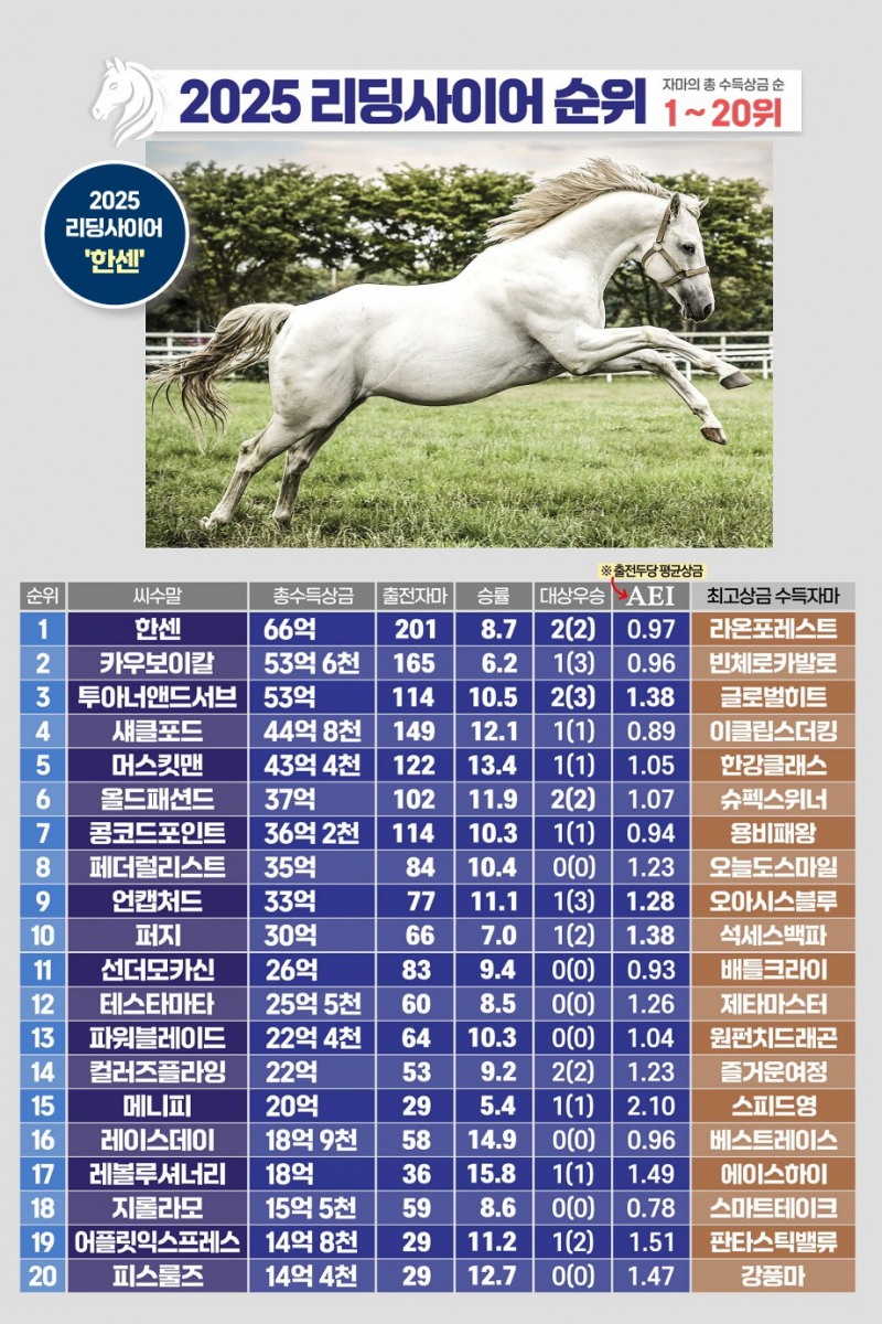 2025년 한국경마 씨수말 결산! 독주 끝, 치열한 혈통전쟁 시작